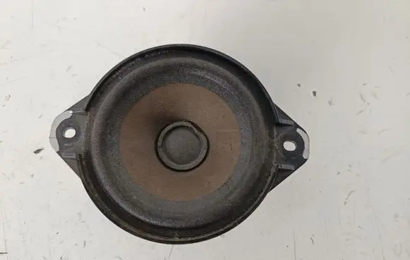 Panel speaker