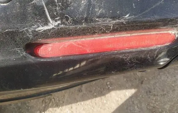 Honda Accord Rear tail light reflector 