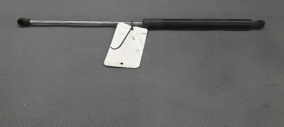Renault Laguna III Tailgate strut 844300006R