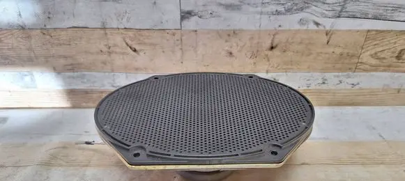 Rear door speaker
