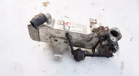 Seat Leon (1M) EGR valve cooler