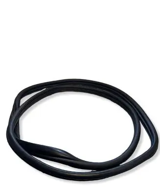 Hyundai Ioniq 5 Rubber seal rear door 