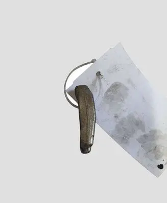 Renault Laguna III Fuel Injector clamp holder