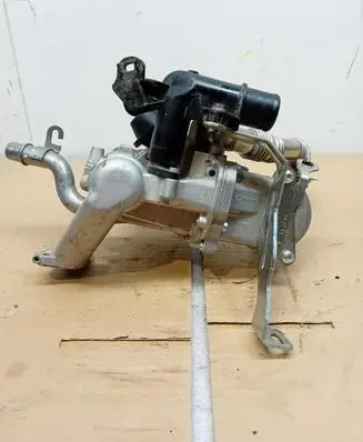 EGR valve
