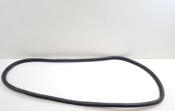 Ford Mustang Mach-E Rear door rubber seal (on body) LJ8BR253A10