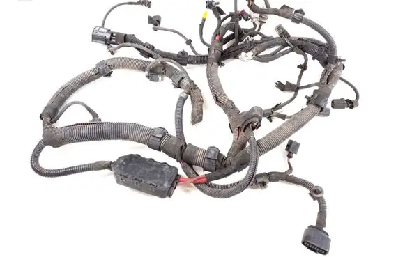 Porsche Panamera (970) Other wiring loom 