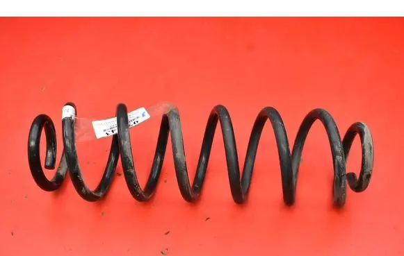 Rear coil spring