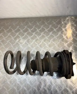 Rear coil spring