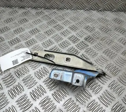 Audi RS5 Engine bonnet/hood hinges 8T0823302 8T0823302E
