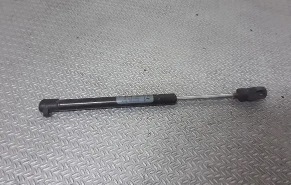 Chrysler 300 - 300C Tailgate/trunk strut/damper 05065659AA