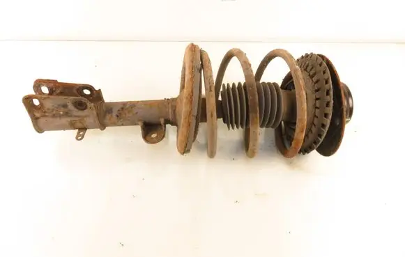 Chrysler Voyager Front shock absorber with coil spring