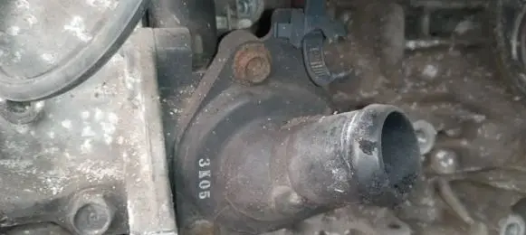 Honda Accord Engine coolant pipe/hose
