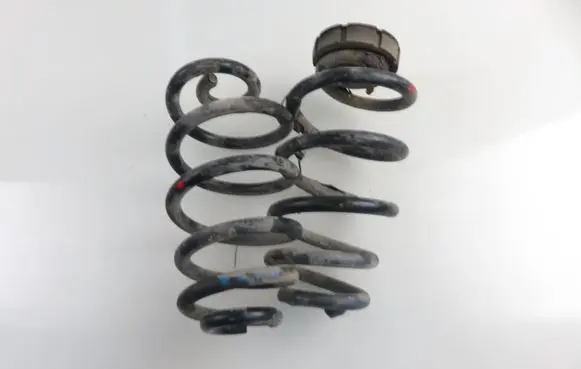 Rear coil spring