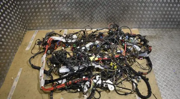 BMW X3 G01 Wiring harness 