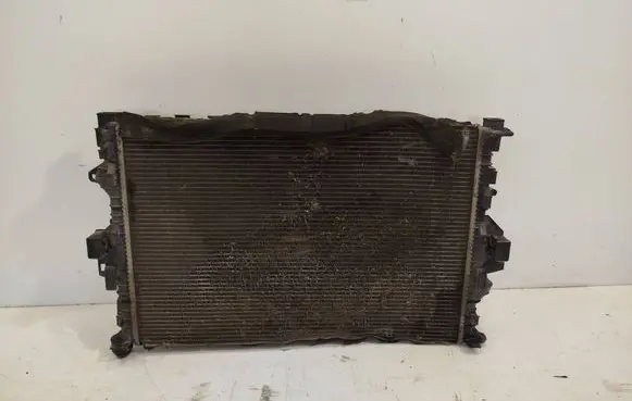 Ford S-MAX Coolant radiator