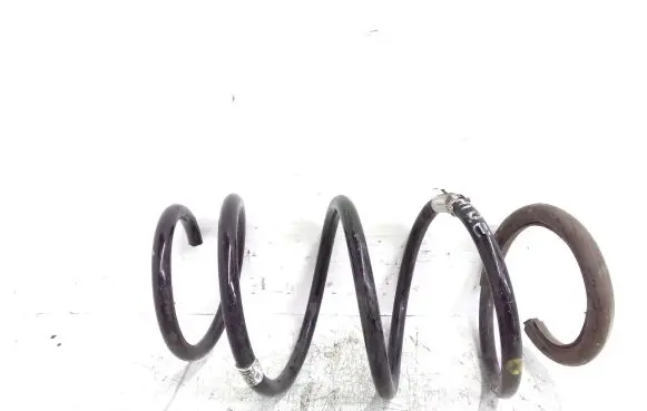 Front coil spring