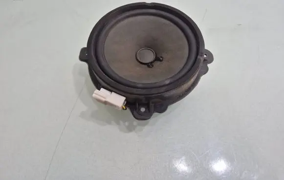 Opel Antara Front door speaker 25907871