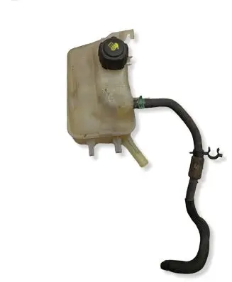 Renault Scenic III - Grand scenic III Coolant expansion tank/reservoir cap 21700005R