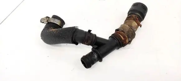 Volkswagen Phaeton Engine coolant pipe/hose 3B0122291B