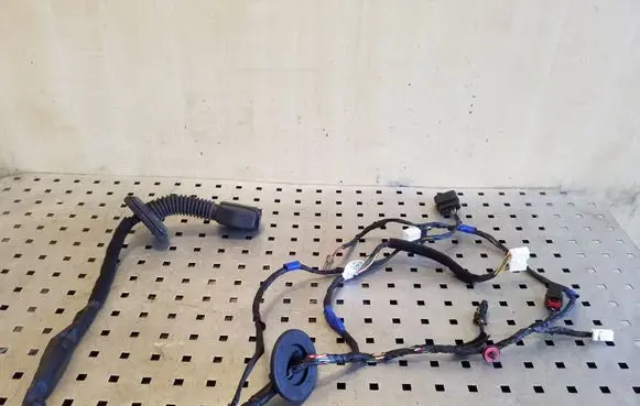 Front door wiring loom