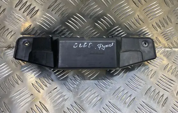 Engine bonnet/hood lock trim molding