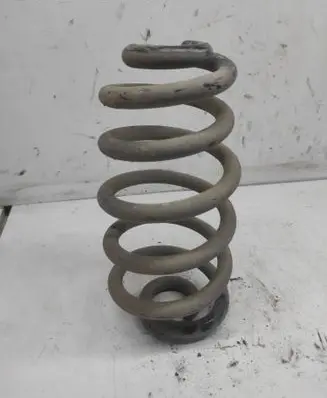 Rear coil spring