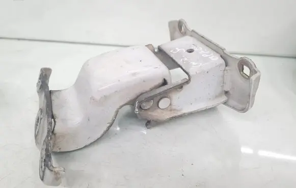 Tailgate/trunk/boot hinge