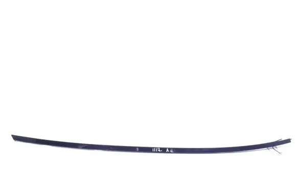 Mercedes-Benz CL C216 Roof trim bar molding cover A21669021809197