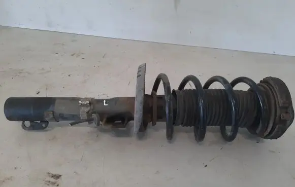 Volkswagen Polo IV 9N3 Front shock absorber/damper 6Q0413031