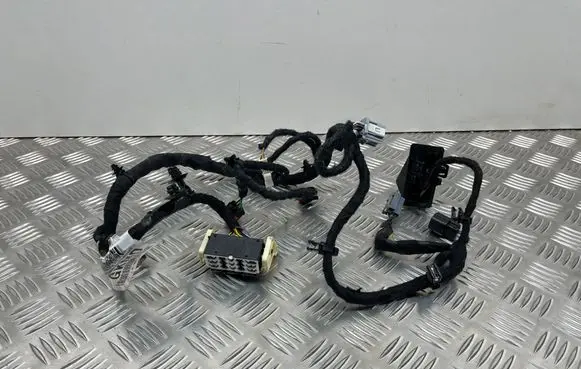 Ford Focus Other wiring loom JX6T14B079GKMD JX6T14B079