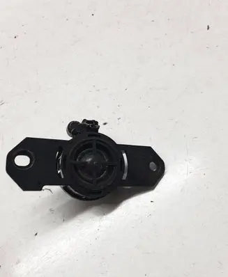Front door high frequency speaker