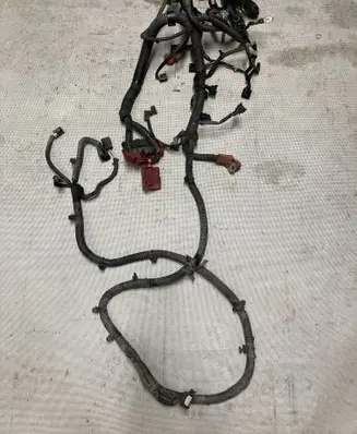 Engine installation wiring loom