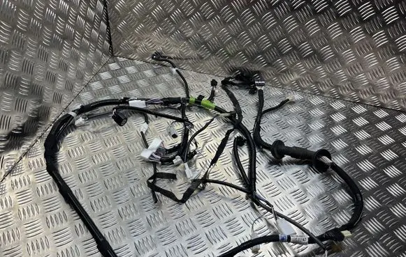 Toyota RAV 4 (XA50) Tailgate/trunk wiring harness 8218442A70 0005190705