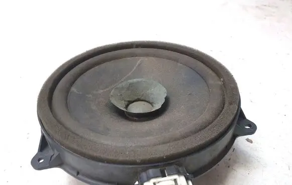 Front door speaker