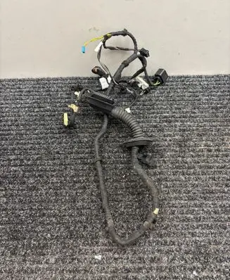 BMW X6 F16 Rear door wiring loom 9364911 9365831 E31854A