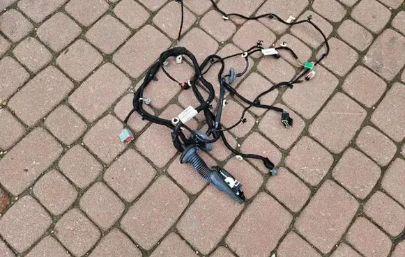 Opel Insignia B Front door wiring loom 39204396