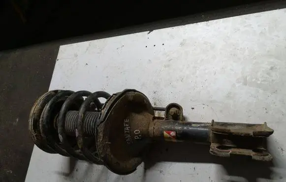 Hyundai Santa Fe Front shock absorber/damper
