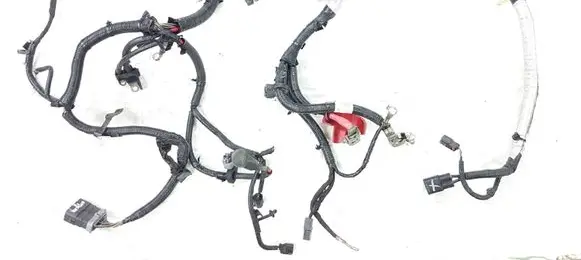Ford Fusion II Engine installation wiring loom DG9T14A280 DG9T14A280CH