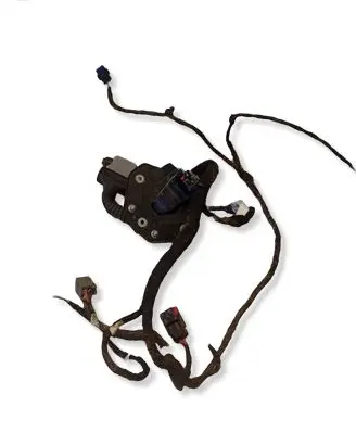 Dodge Charger Rear door wiring loom 16238DC