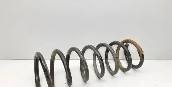 Rear coil spring