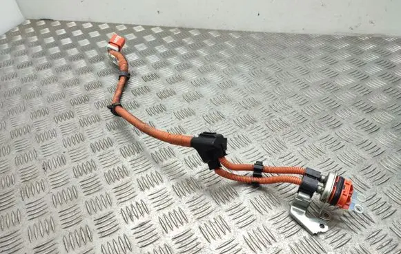 Engine installation wiring loom