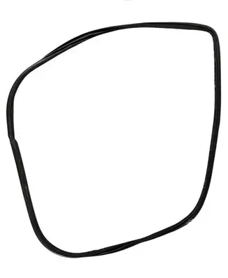 Toyota RAV 4 (XA40) Front door rubber seal