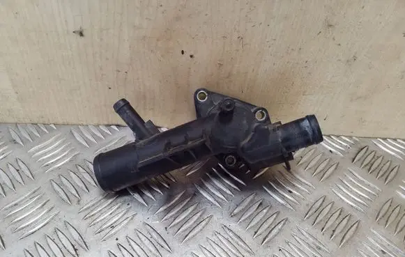 Thermostat/thermostat housing