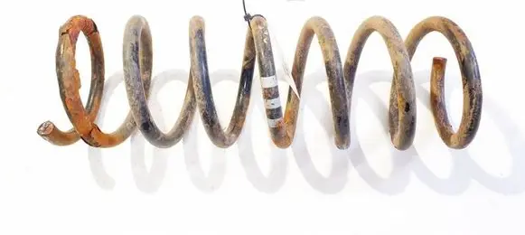Rear coil spring
