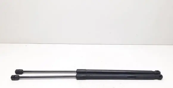 Tailgate/trunk strut/damper