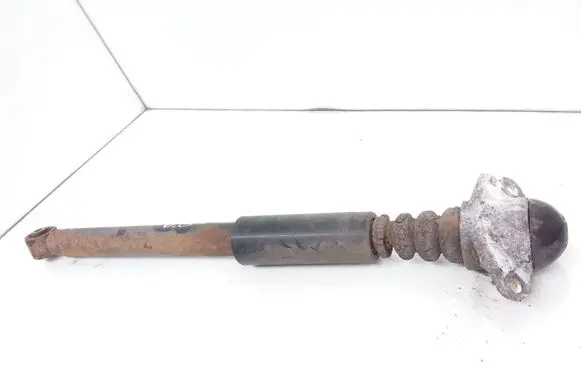Skoda Roomster (5J) Rear shock absorber/damper 1J9513025F