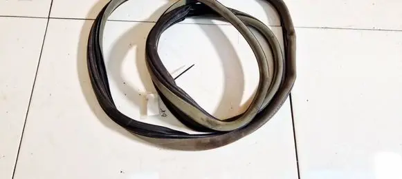 Renault Laguna II Rubber seal front coupe door 