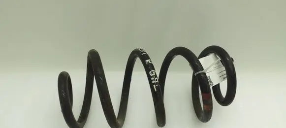 Nissan Qashqai Rear coil spring