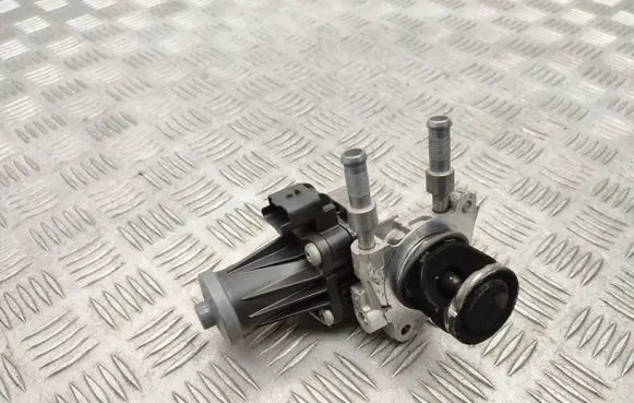 Fiat Doblo III EGR valve 9829870080