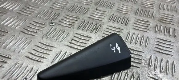 Other rear door trim element